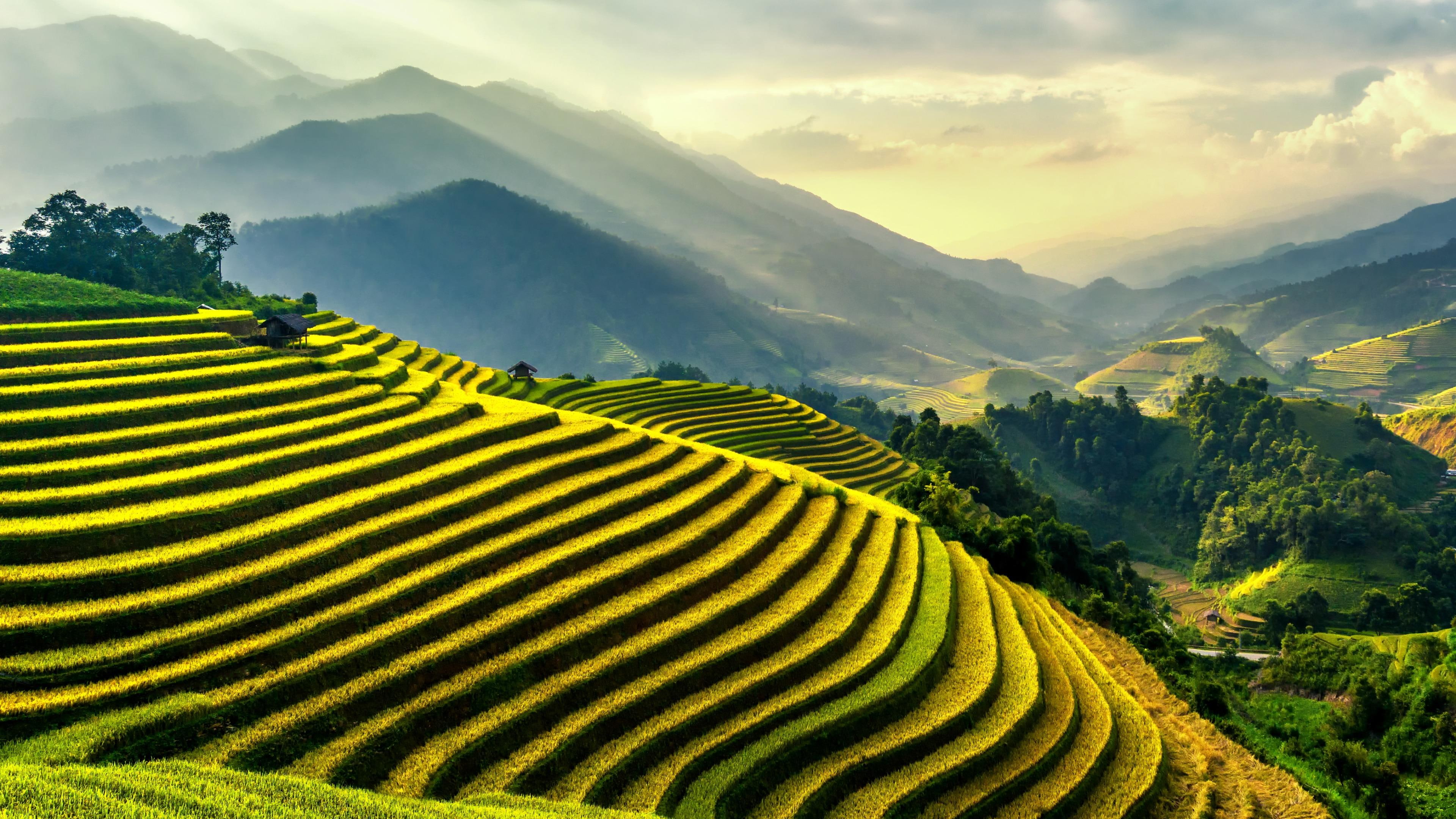 Đà Lạt xuất hiện thêm địa điểm sống ảo đẹp không góc chết